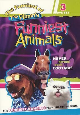 Youll Think Of Me DVD Pre-Owned Region 2
