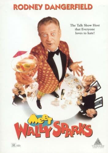 Meet Wally Sparks  [1997] [Region 1 DVD Pre-Owned Region 2