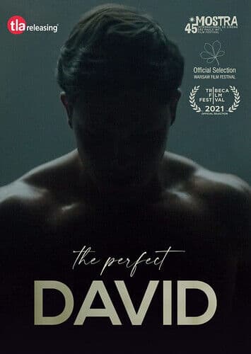 The Perfect David DVD (2022) Mauricio Di Yorio, Gomez Aparicio (DIR) Cert 15 Pre-Owned Region 2