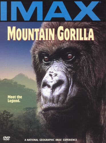 Mountain Gorilla  [Region 1] [US Im DVD Pre-Owned Region 2