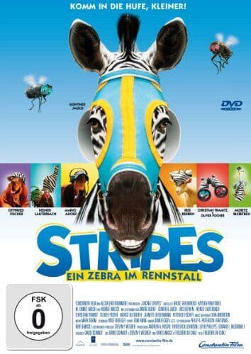 DVD STRIPES - EIN ZEBRA IM RENNSTALL DVD Pre-Owned Region 2