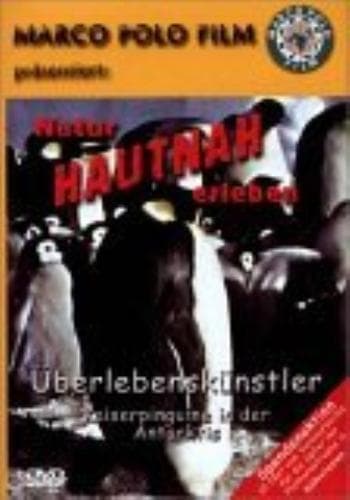 Affliction DVD Nick Nolte, Schrader (DIR) Cert 15 Pre-Owned Region 2