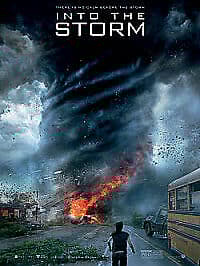 Into The Storm DVD (2014) Richard Armitage, Quale (DIR) Cert 12 Pre-Owned Region 2