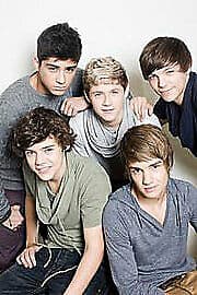 One Direction: The Only Way Is Up DVD (2012) One Direction Cert E Pre-Owned Region 2