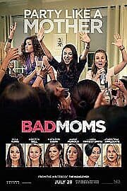 Bad Moms DVD (2016) Mila Kunis, Lucas (DIR) Cert 15 Pre-Owned Region 2