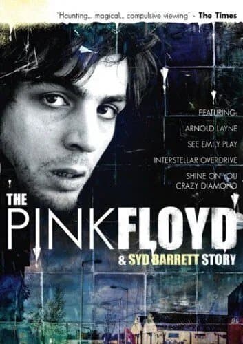 Pink Floyd: The Pink Floyd And Syd Barrett Story DVD (2006) Pink Floyd Cert E Pre-Owned Region 2