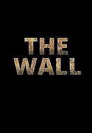 The Wall DVD (2017) Aaron Taylor-Johnson, Liman (DIR) Cert 15 Pre-Owned Region 2