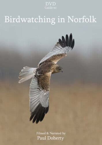 Birdwatching In Norfolk DVD (2010) Paul Docherty Cert E Pre-Owned Region 2