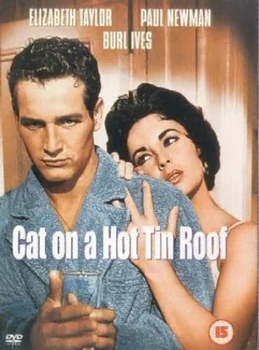 Cat On A Hot Tin Roof DVD (2001) Elizabeth Taylor, Brooks (DIR) Cert 15 Pre-Owned Region 2