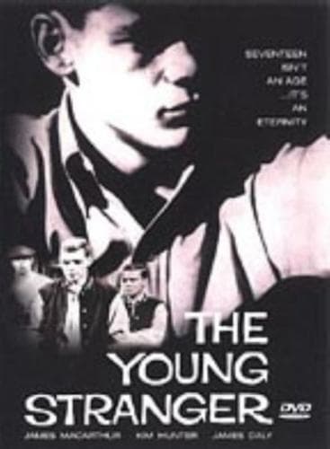 The Young Stranger DVD (2003) James MacArthur, Frankenheimer (DIR) Cert PG Pre-Owned Region 2