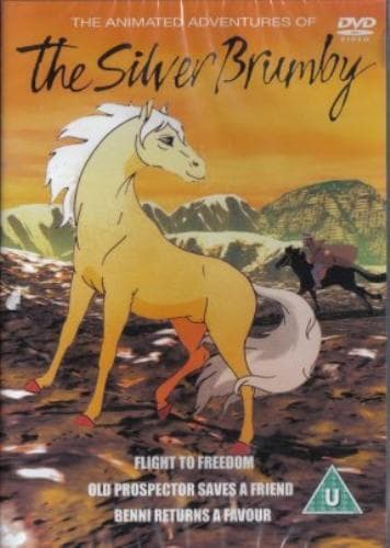 The Animated Adventures Of The Silver Br DVD Pre-Owned Region 2