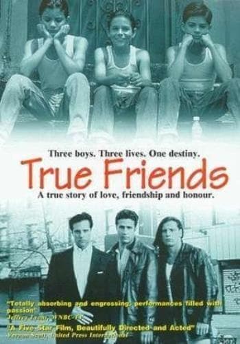 True Friends DVD Pre-Owned Region 2
