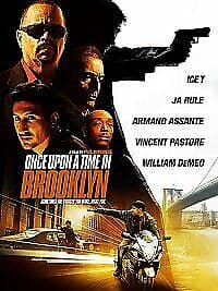 Once Upon A Time In Brooklyn DVD (2016) Armand Assante, Borghese (DIR) Cert 15 Pre-Owned Region 2
