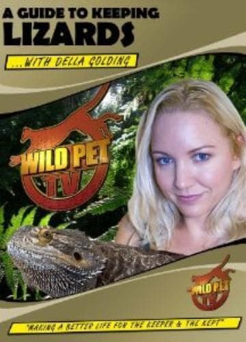 A Guide To Keeping Lizards (herpetology) DVD Pre-Owned Region 2