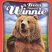 A Bear Named Winnie DVD (2017) Michael Fassbender, Harrison (DIR) Cert PG Pre-Owned Region 2