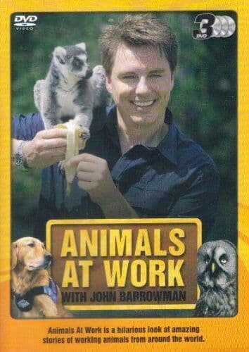 Animals At Work With John Barrowman [3 D DVD Pre-Owned Region 2