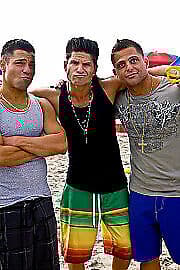 Jersey Shore Shark Attack DVD (2012) Jeremy Luc, Shepphird (DIR) Cert 15 Pre-Owned Region 2