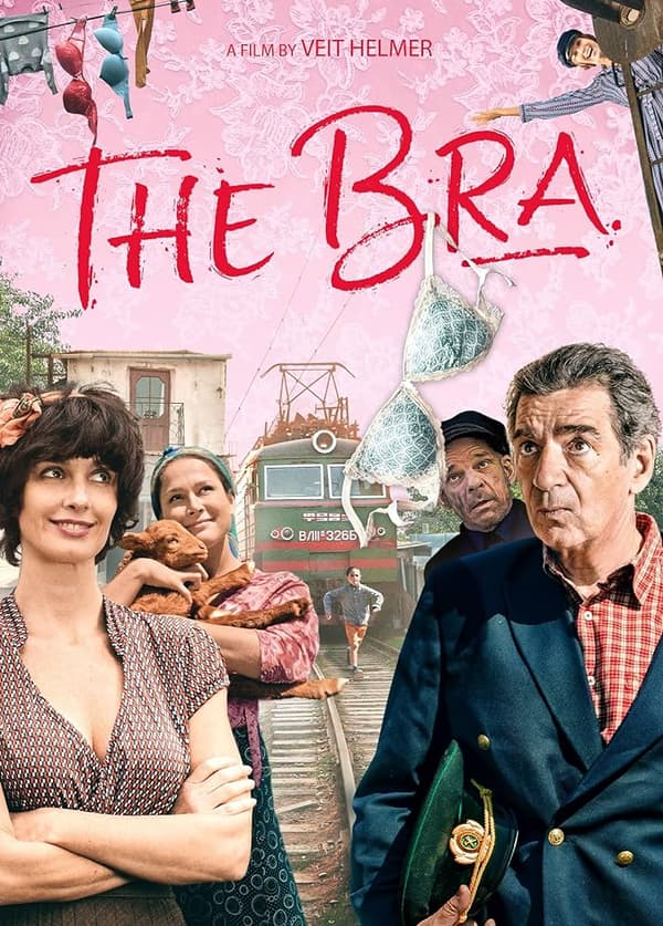 The Great Courses: Understanding The Bra DVD Pre-Owned Region 2