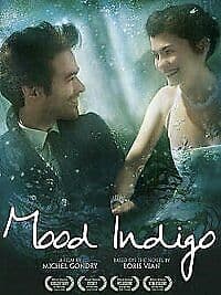 Mood Indigo DVD (2014) Romain Duris, Gondry (DIR) Cert 12 Pre-Owned Region 2