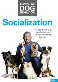 Essentials Of Dog Behavior: Socializatio DVD Pre-Owned Region 2