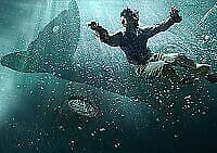 The Whale DVD (2015) Martin Sheen, Riley (DIR) Cert 12 Pre-Owned Region 2