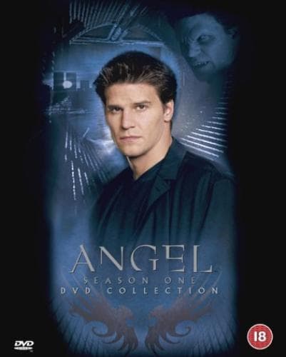 Angel: Season 1 DVD (2004) David Boreanaz, Whedon (DIR) Cert 18 Pre-Owned Region 2