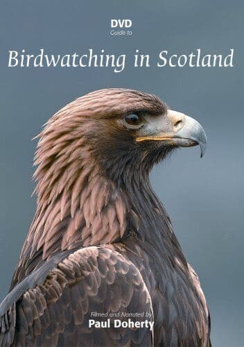 Birdwatching In Scotland DVD (2010) Paul Doherty Cert E Pre-Owned Region 2