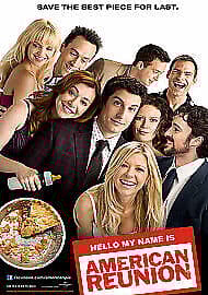 American Pie: Reunion DVD (2012) Alyson Hannigan, Hurwitz (DIR) Cert 15 Pre-Owned Region 2