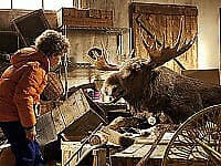The Christmoose Story DVD (2016) Dennis Reinsma, Blok (DIR) Cert PG Region 2