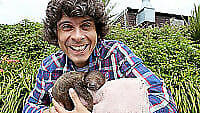 Andy’s Baby Animals: First Steps and Other Stories DVD (2017) Andy Day Cert E Region 2