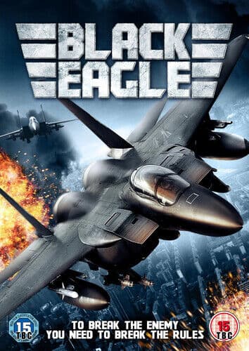 Black Eagle DVD (2013) Rain, Kim (DIR) Cert 15 Region 2