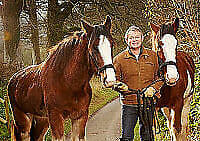 Martin Clunes: Heavy Horsepower DVD (2013) Martin Clunes Cert E Region 2