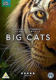 Big Cats DVD (2018) Bertie Carvel Cert PG Region 2