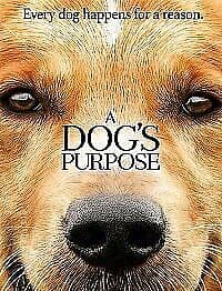 A Dog’s Purpose DVD (2017) Britt Robertson, Hallstrom (DIR) Cert PG Region 2