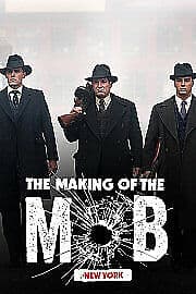 The Making of the Mob: York DVD (2016) Rich Graff Cert 18 3 Discs Region 2
