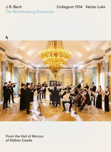 Brandenberg ConCertos: Collegium 1704 (Luks) DVD (2022) Ute Feudel Cert E Region 2