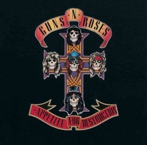 Unknown Artist : GUNS N ROSES-GUNS N ROSES:APPETITE FOR D CD