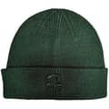 Miniatyrbillede 1 af 2: Tupac - Fist Logo Green Beanie H