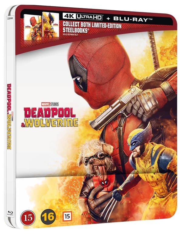 DEADPOOL  WOLVERINE