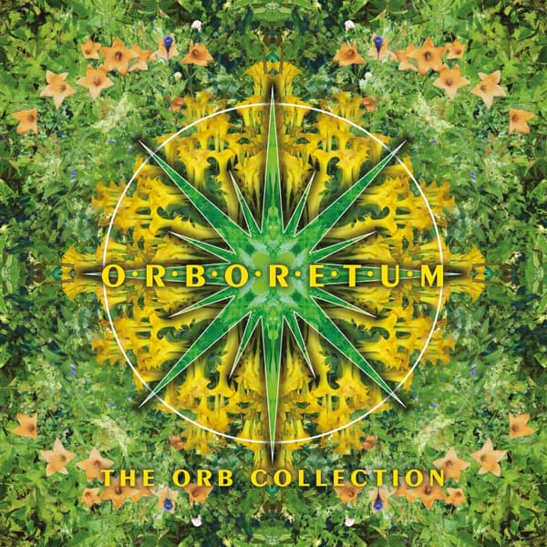 Orb: Orboretum/The Orb collection 1991-2023 (2 CD)