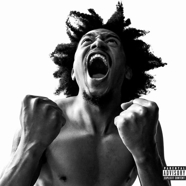 Bobby Sessions: Manifest (Vinyl LP)
