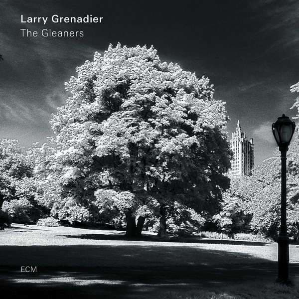 Grenadier Larry: The gleaners 2019 (CD)