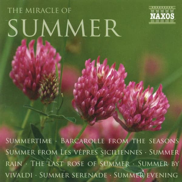 The Miracle Of Summer (CD)