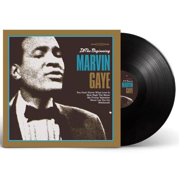Gaye Marvin: In the beginning (Vinyl LP)