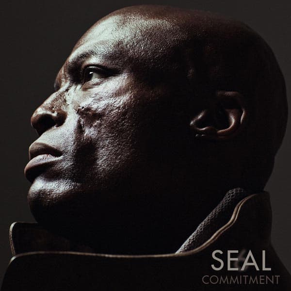Seal: Seal 6/Commitment 2010 (CD + DVD)