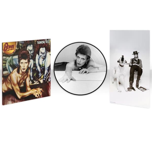 Bowie David: Diamond dogs (Picturedisc) (Vinyl LP)