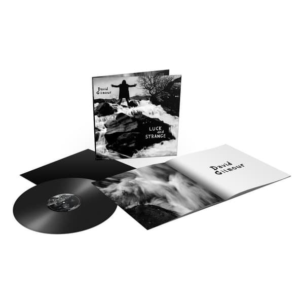 Gilmour David: Luck and strange (Vinyl LP)