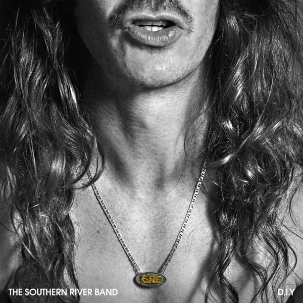 Southern River Band: D.I.Y (Gold) (Vinyl LP)