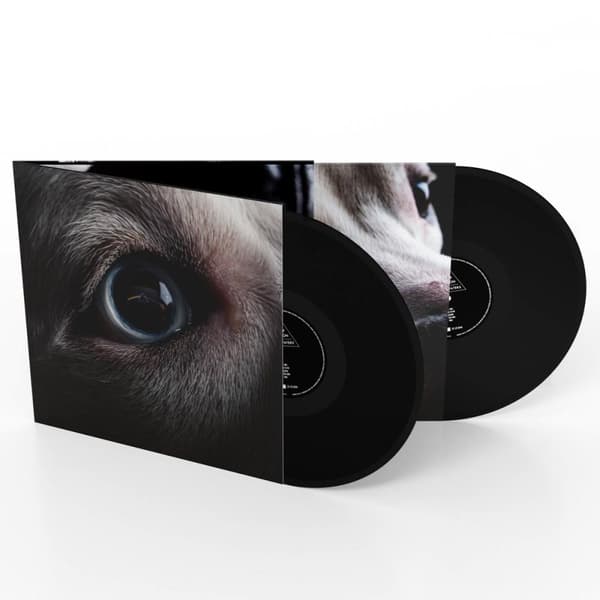 Waters Roger: Dark side of the moon redux (2 Vinyl LP)