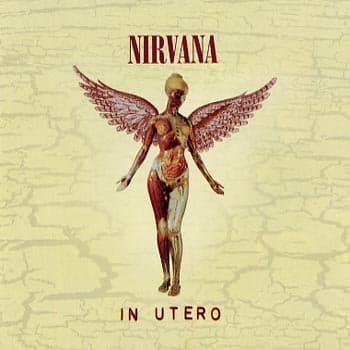 Nirvana: In Utero 1993 (Rem) (CD)